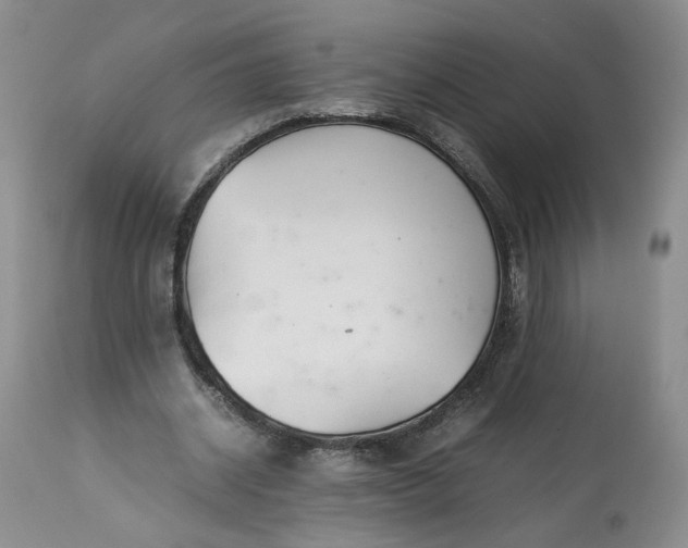 X0000113560534200910021557