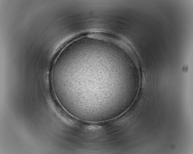 X0000113560535200910021557