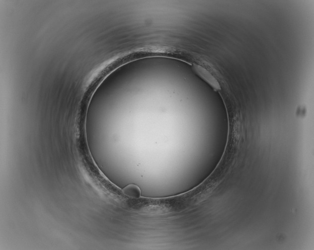 X0000113560536200910021557