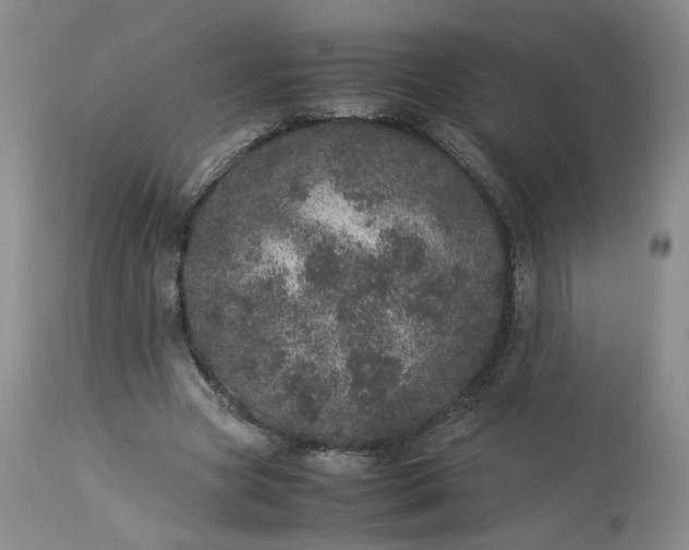 X0000113560537200910021557