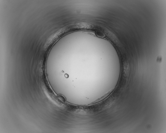 X0000113560538200910021557
