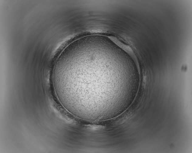 X0000113560539200910021557
