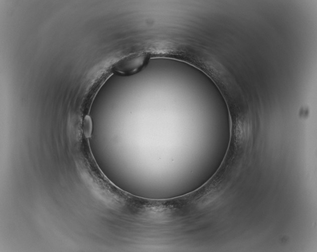 X0000113560540200910021557