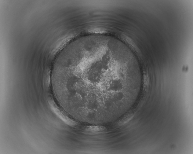 X0000113560541200910021557