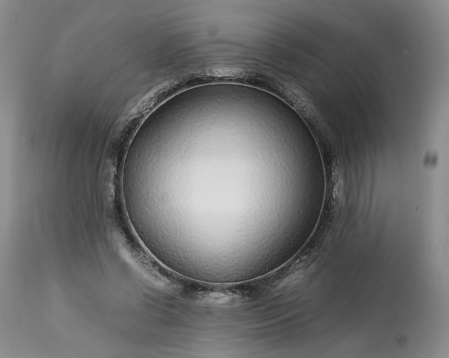 X0000113560542200910021557