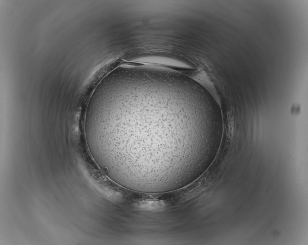 X0000113560543200910021557