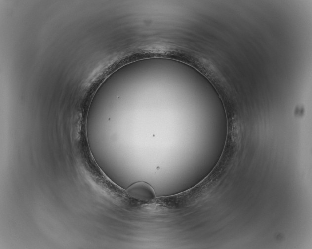 X0000113560544200910021557