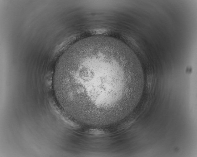 X0000113560545200910021557