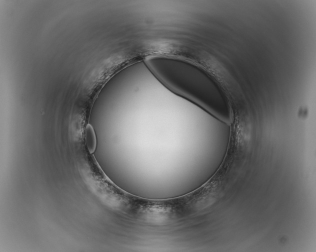 X0000113560546200910021557