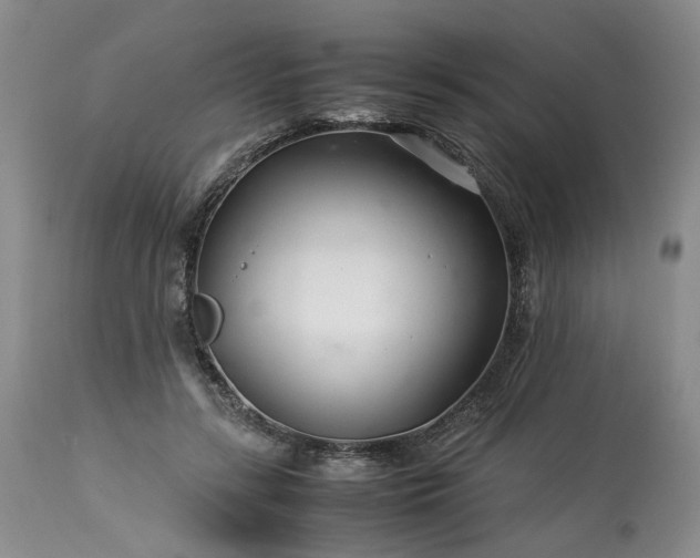 X0000113560547200910021557