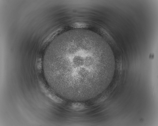X0000113560549200910021557