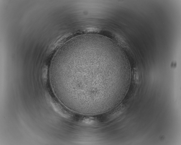 X0000113560550200910021557