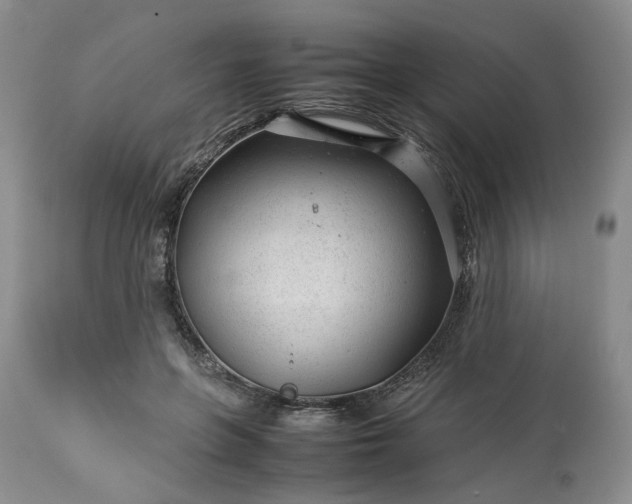 X0000113560551200910021557