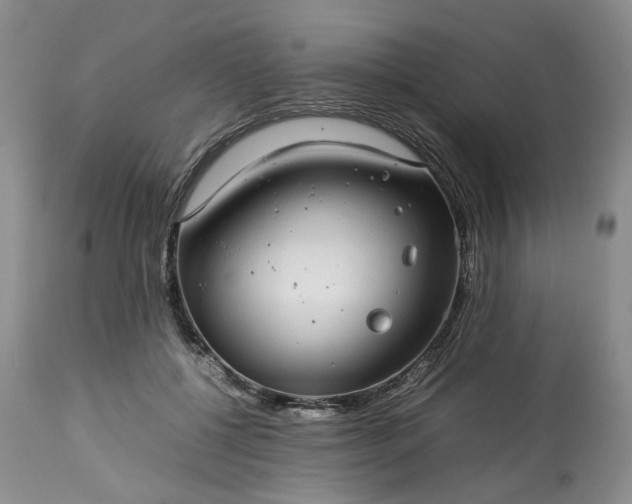 X0000113560552200910021557