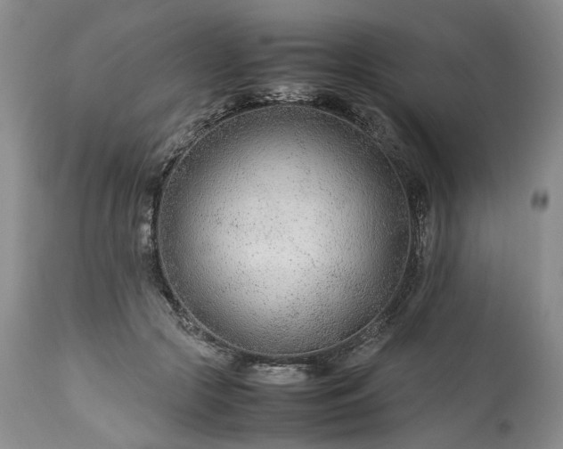 X0000113560553200910021557