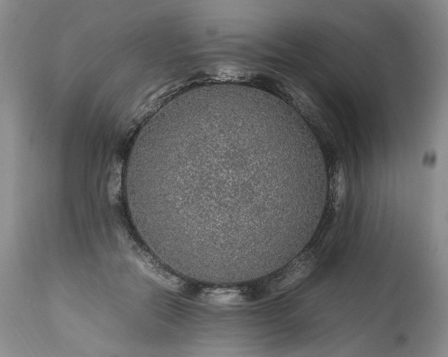 X0000113560554200910021557