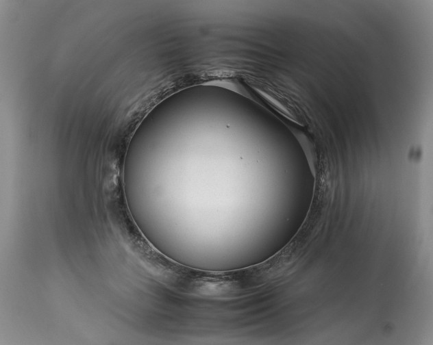 X0000113560555200910021557