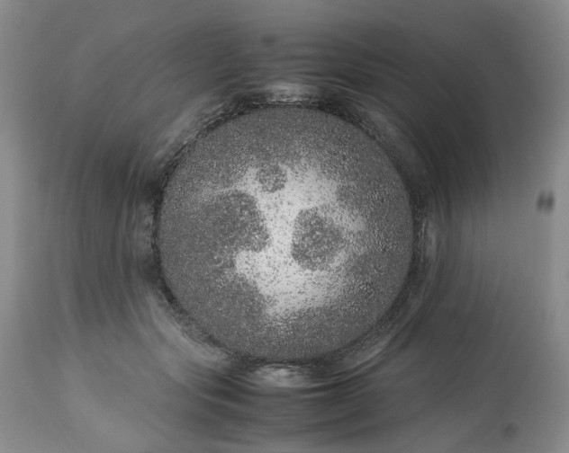 X0000113560557200910021557