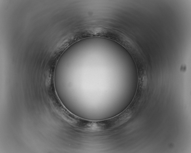 X0000113560558200910021557