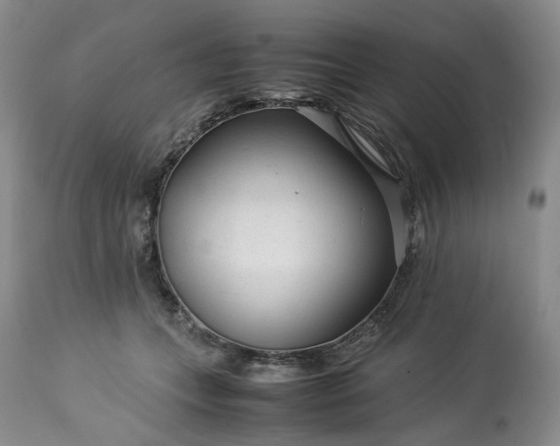 X0000113560559200910021557