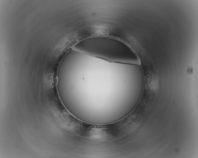 X0000113560560200910021557