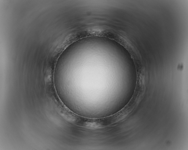 X0000113560561200910021557