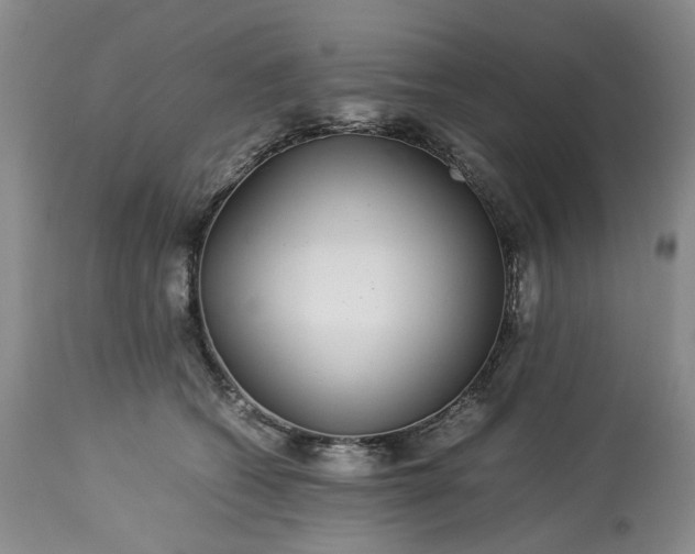 X0000113560562200910021557