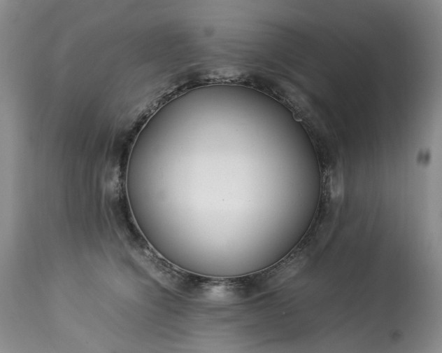 X0000113560564200910021557