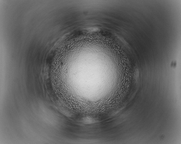 X0000113560565200910021557