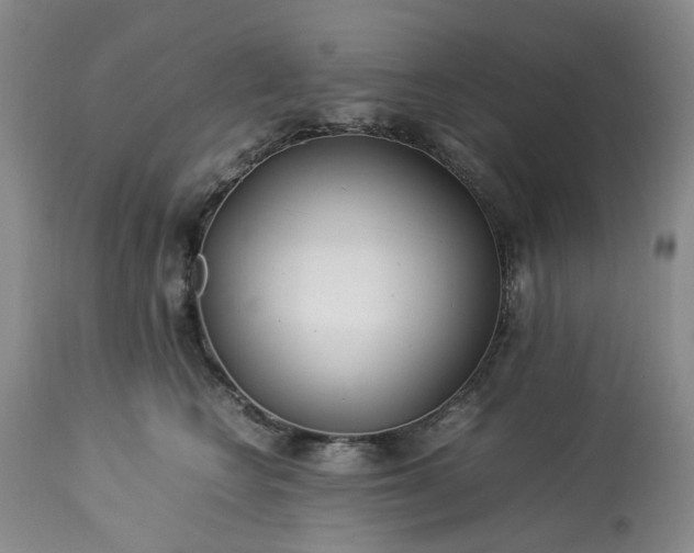 X0000113560566200910021557