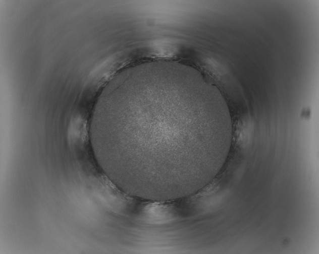 X0000113560568200910021557
