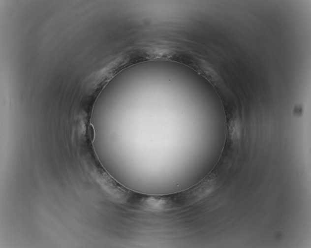 X0000113560570200910021557
