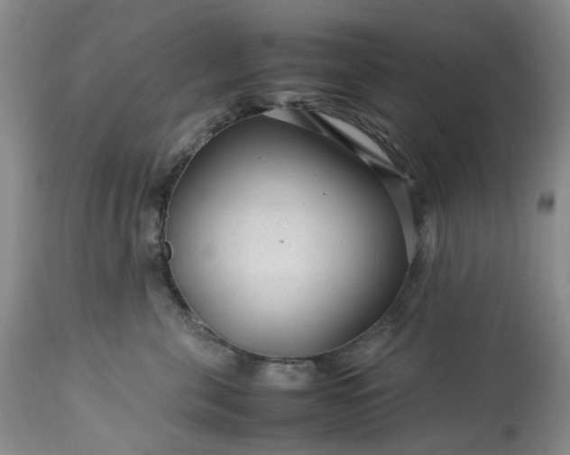 X0000113560571200910021557
