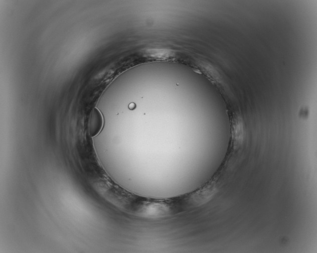 X0000113560572200910021557