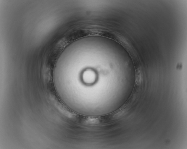 X0000113560573200910021557