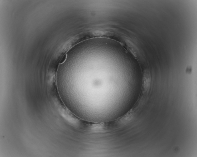 X0000113560574200910021557