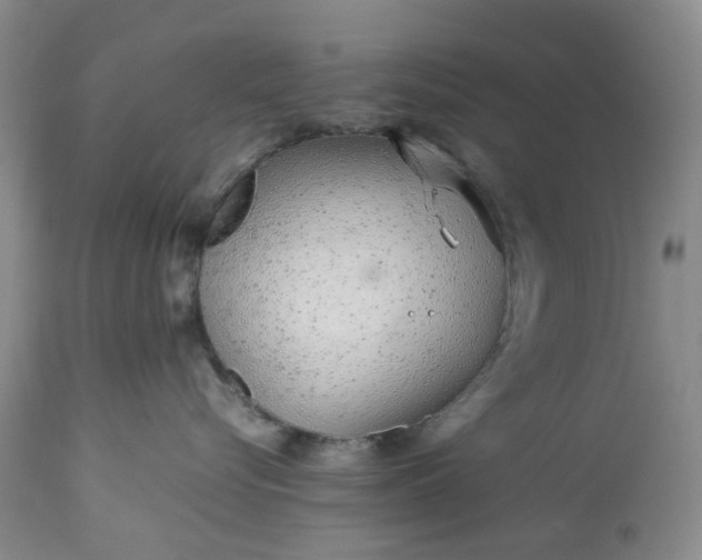 X0000113560576200910021557