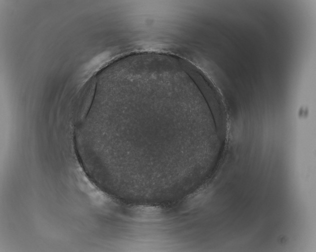 X0000113560577200910021557