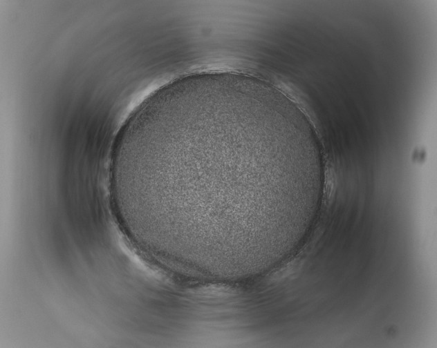 X0000113560578200910021557