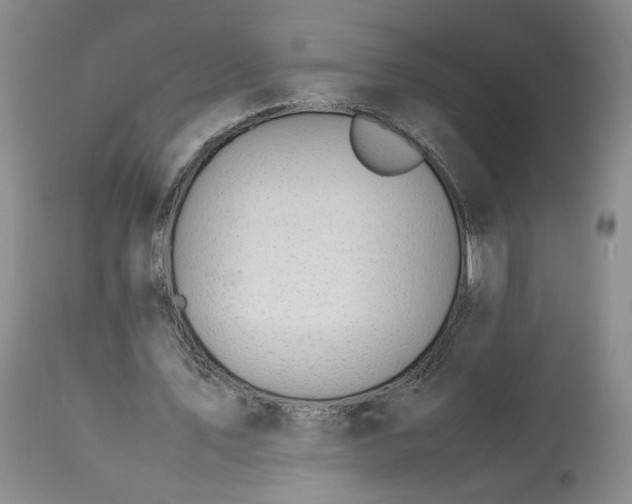 X0000113560579200910021557