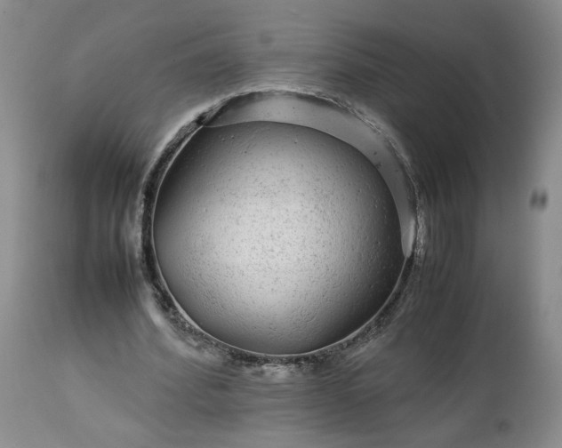 X0000113560580200910021557