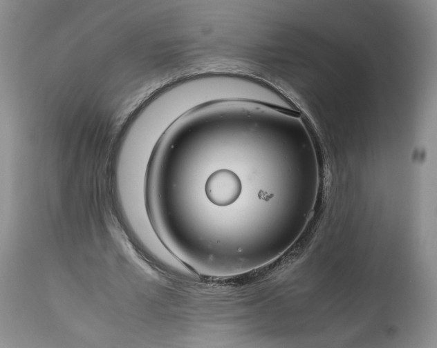 X0000113560581200910021557