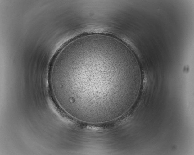 X0000113560582200910021556