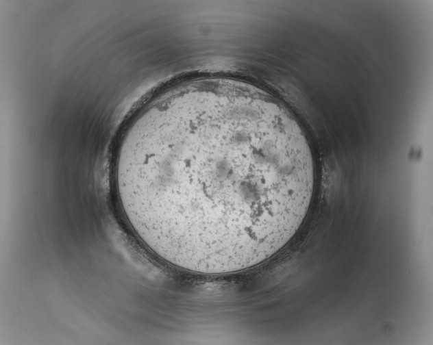 X0000113560584200910021556