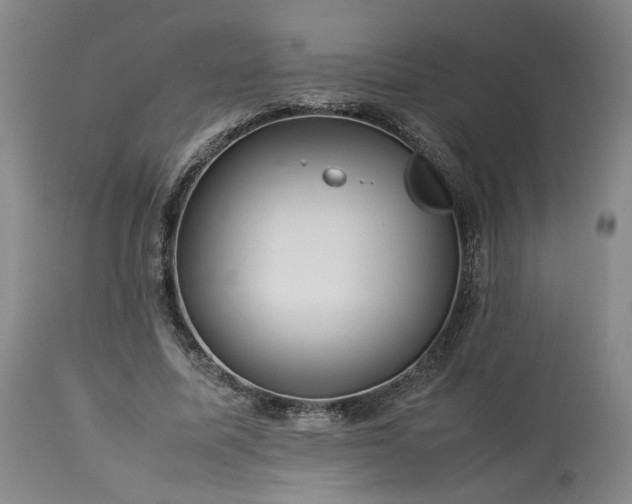 X0000113560587200910021556