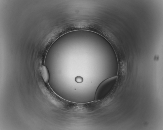 X0000113560589200910021556