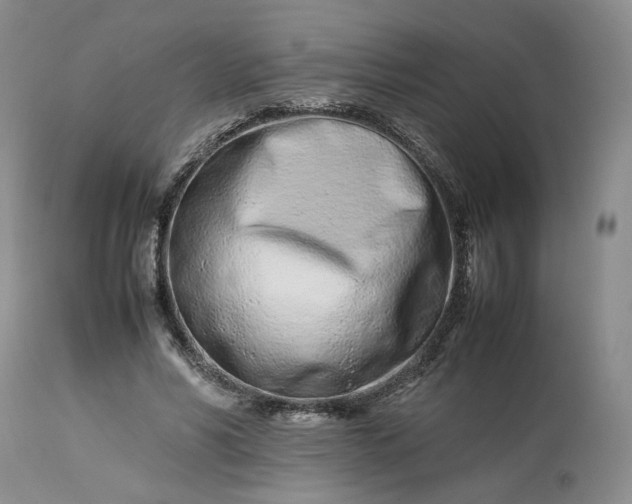 X0000113560590200910021556