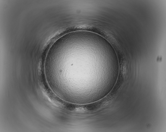 X0000113560591200910021556