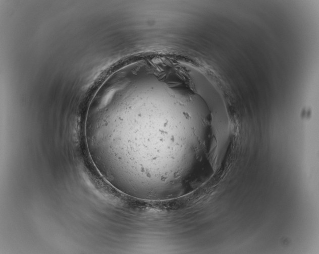 X0000113560592200910021556