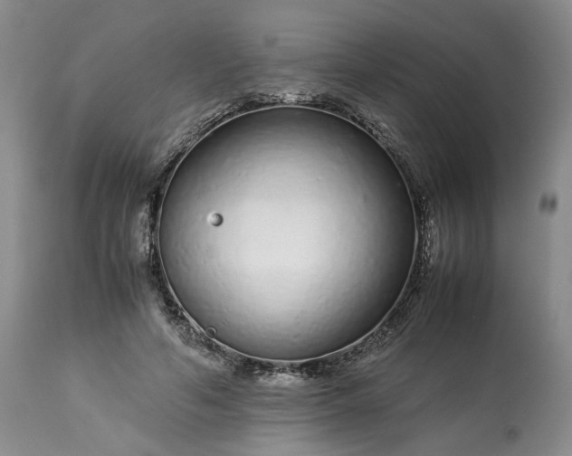 X0000113560594200910021556